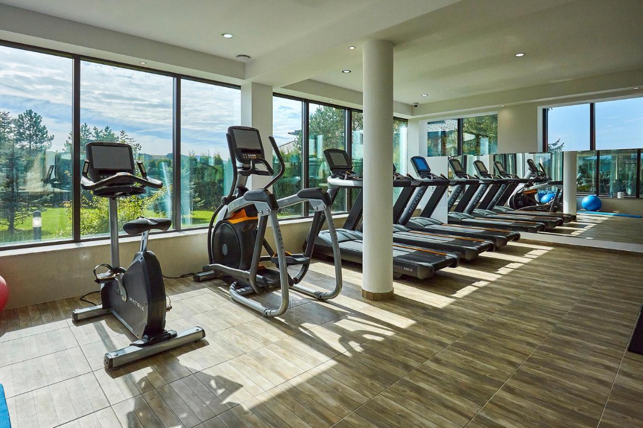 A Hoteli - Grand&Sky Hotel Tornik Златибор Экстерьер фото The gym at the hotel